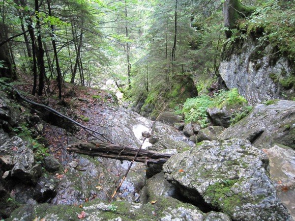 2011_Vereinsausflug_Breitenberg_Pfronten_R_008.jpg